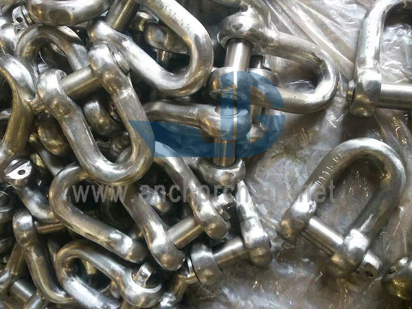 BS3032 Dee Shackle