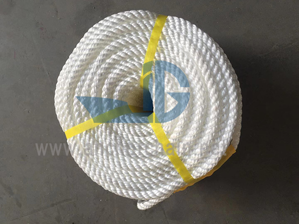 Nylon tau